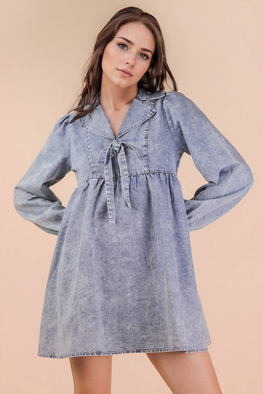 Skyline Denim Dress
